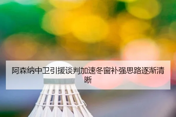 阿森纳中卫引援谈判加速冬窗补强思路逐渐清晰 - kaiyun